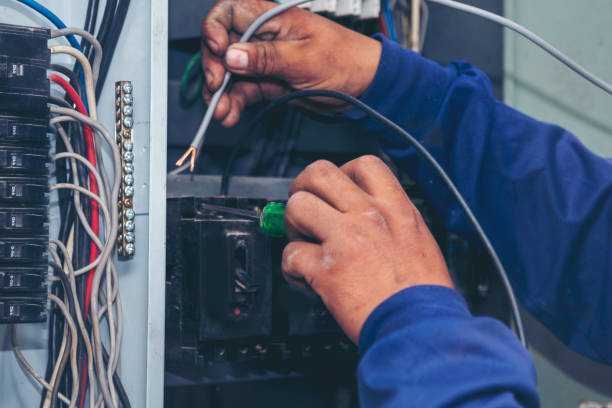 Best Electric Panel Repair  in Centrevle, IL